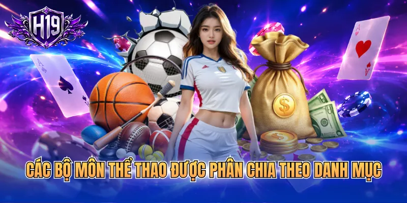 Các bộ môn thể thao được phân chia theo danh mục