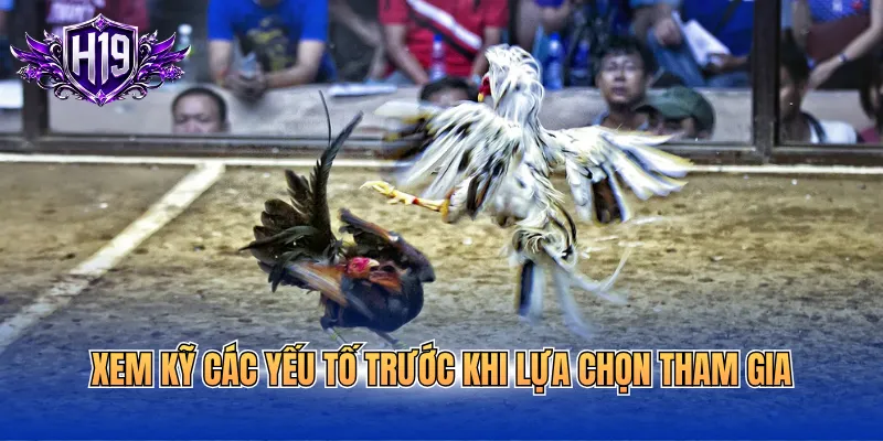 Xem kỹ các yếu tố trước khi lựa chọn tham gia